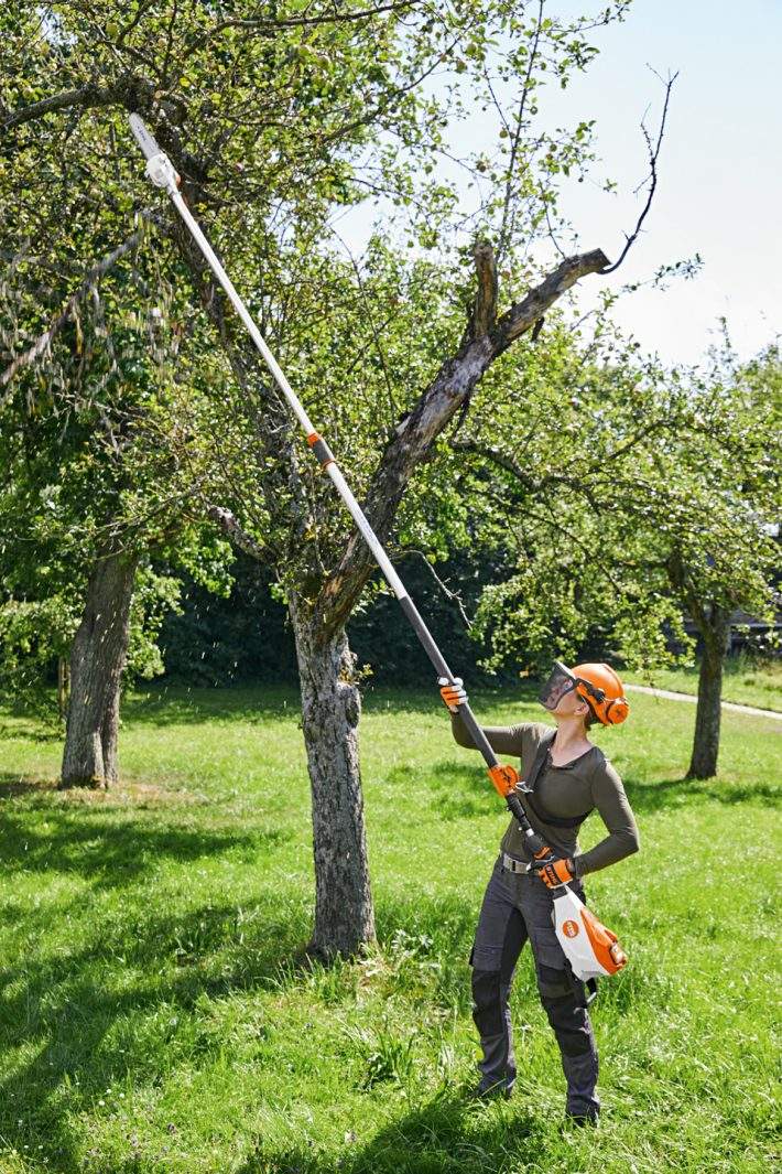 PERCHE D’ÉLAGAGE STIHL PROFESSIONNELLE À BATTERIE HTA 135