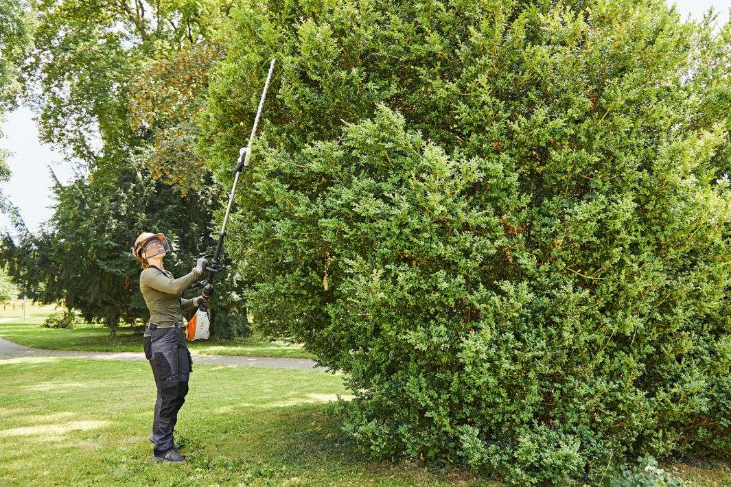 TAILLE-HAIE SUR PERCHE À BATTERIE STIHL HLA 135