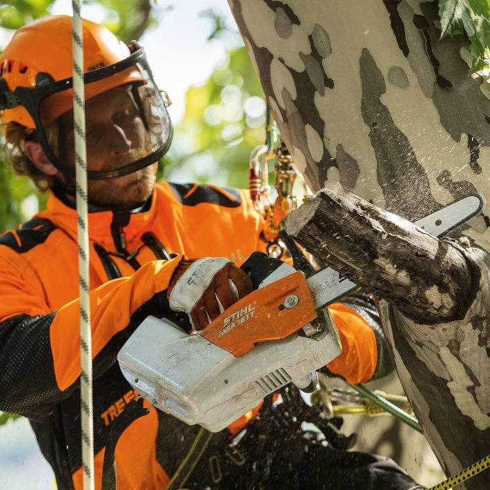 TRONÇONNEUSE STIHL D'ÉLAGAGE À BATTERIE MSA 161 T